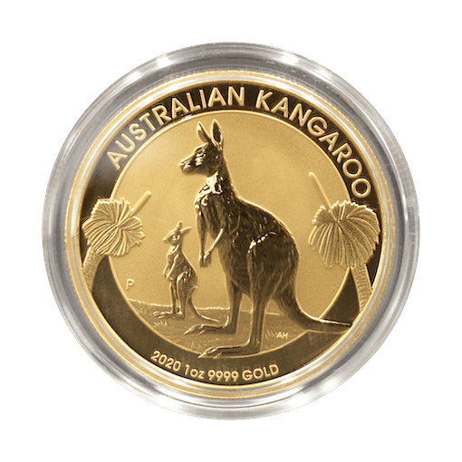 australian gold kangaroo back small