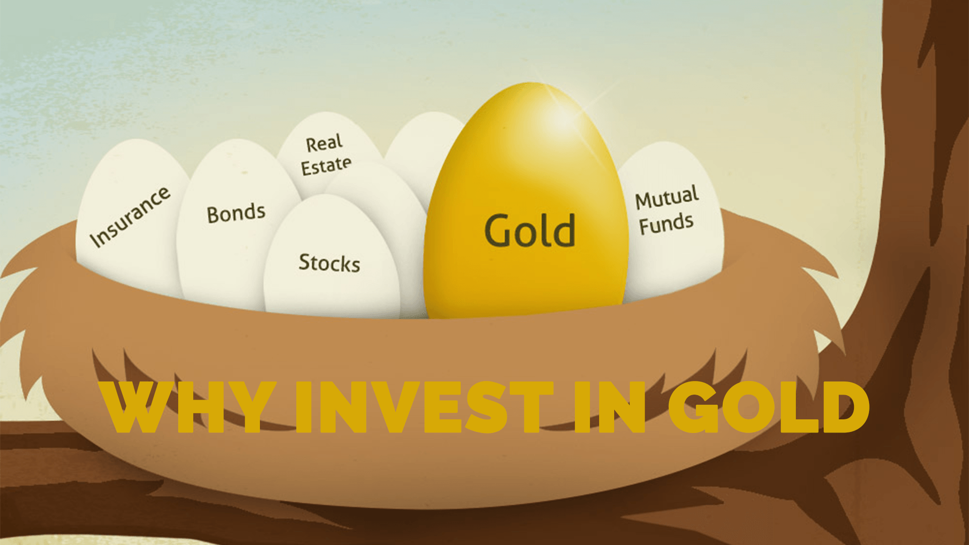 why invest in gold