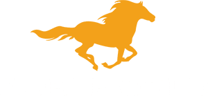 noble gold logo