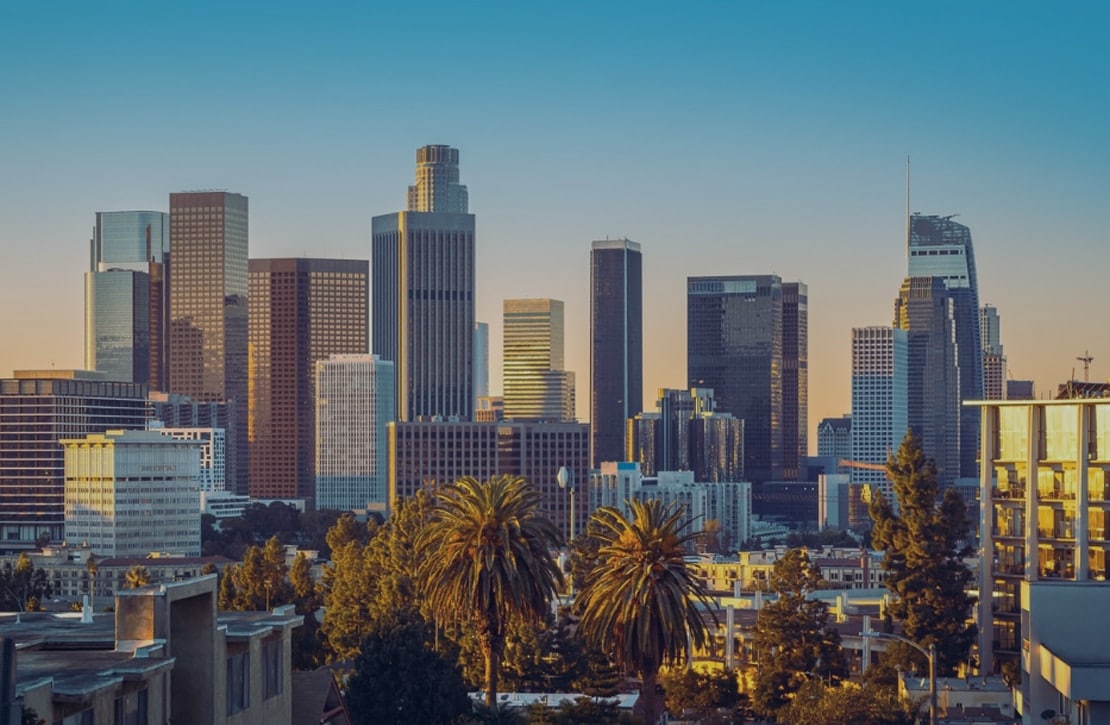 la areas.jpg